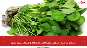الجرجير كنز صحي مذهل يقوي القلب والعظام ويمنحك بشرة نضرة